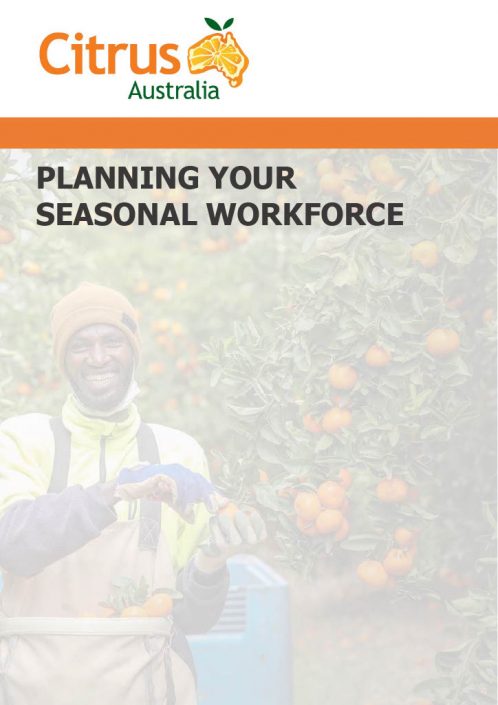 211012-Planning-Your-Seasonal-Workforce10241024_1-498x705