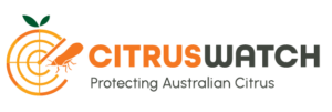 CitrusWatch logo long form - colour - png
