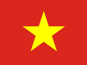 Vietnam Flag 2
