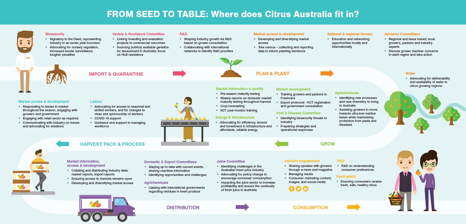 A flow chart of services provided by Citrus Australia to growers