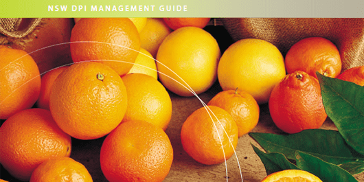 03-management-guide-cover-533x801-1