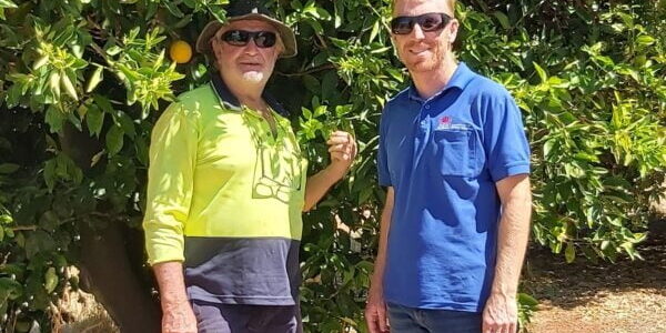Citrus grower Ray Durkin (left) and Scott Munro from NSW DPI at the parasitic wasp release site in 2023
